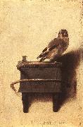FABRITIUS, Carel The Goldfinch dfgh Spain oil painting artist